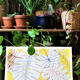 Yellow monstera illustration
