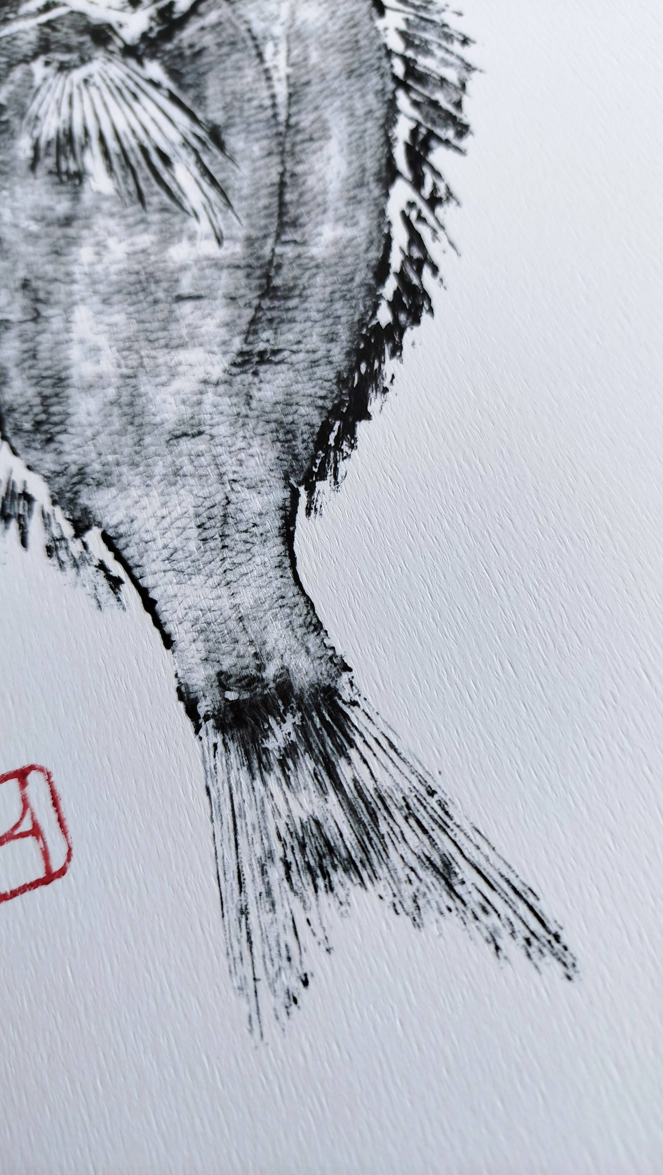 Impression d'art encadrée, "Estampe d'une dorade"