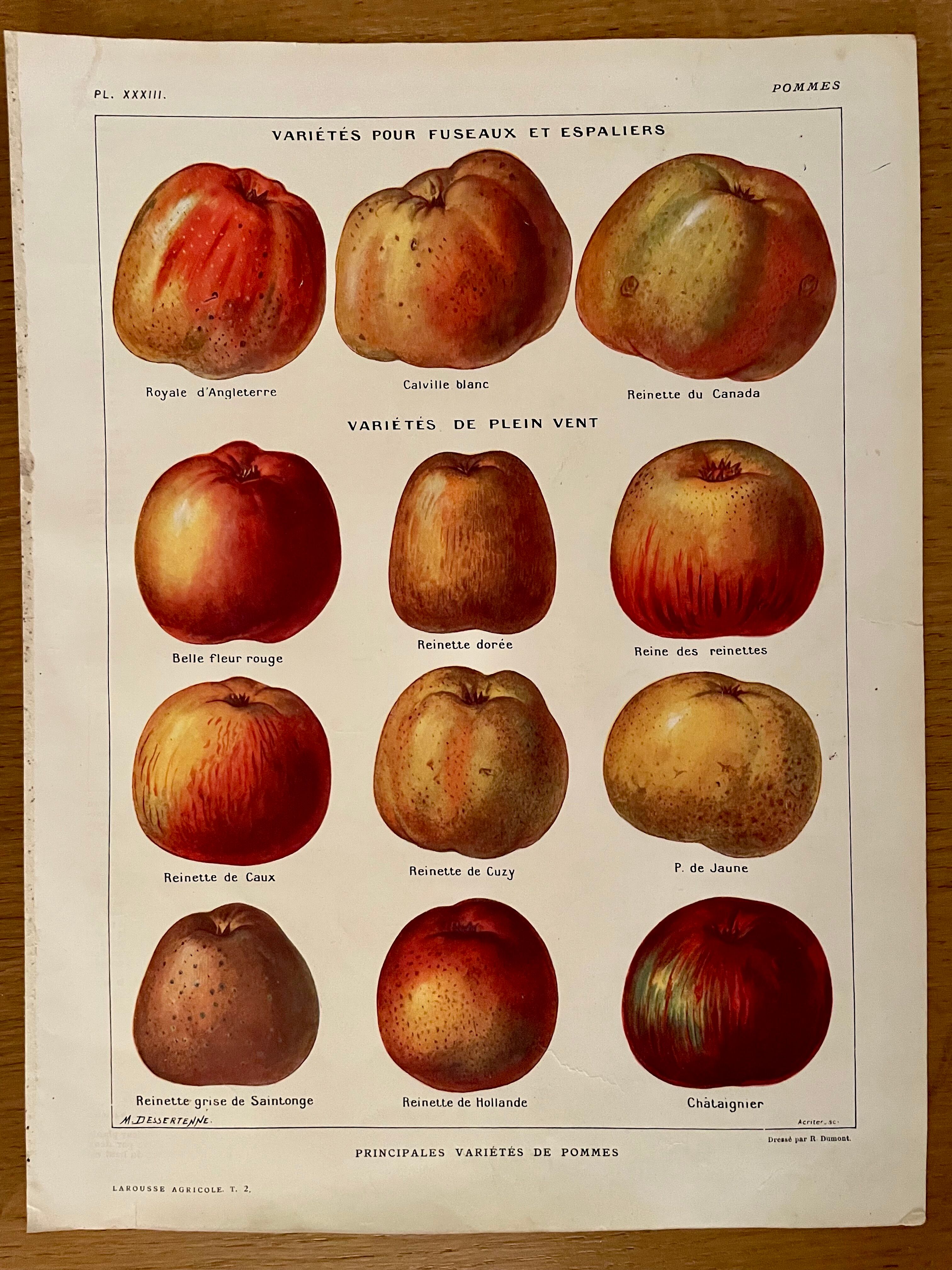 Lithograph on apples from 1921