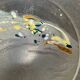 Vintage Murano glass empty pocket signed