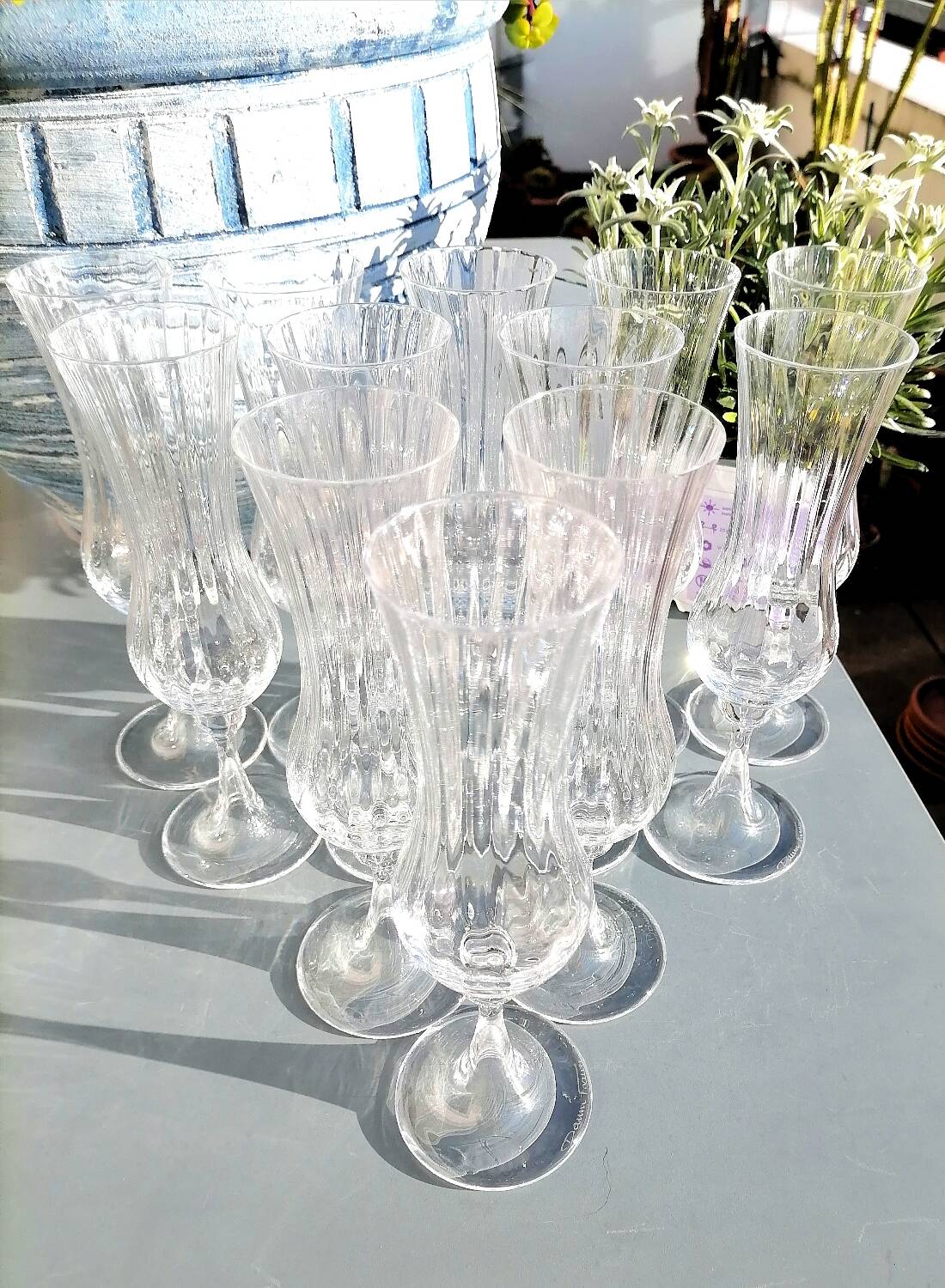 12 Daum Verona Collection champagne flutes