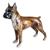 Chien Boxer en porcelaine, Goebel, Allemagne, 1973