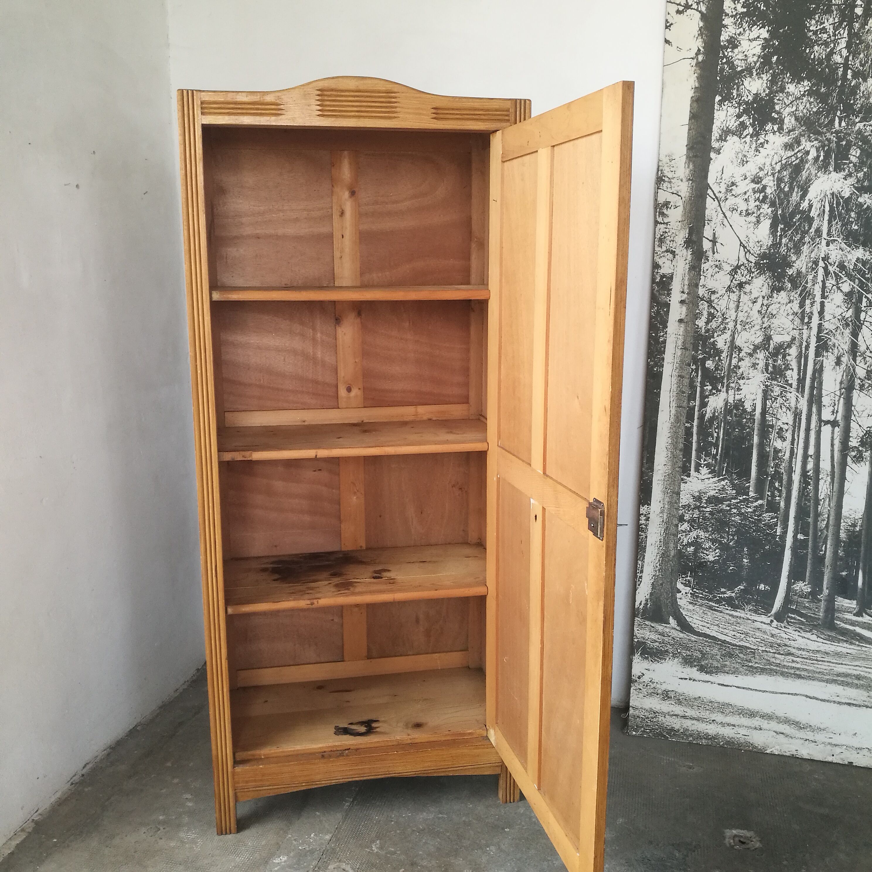 Fir tree hosier, Parisian wardrobe
