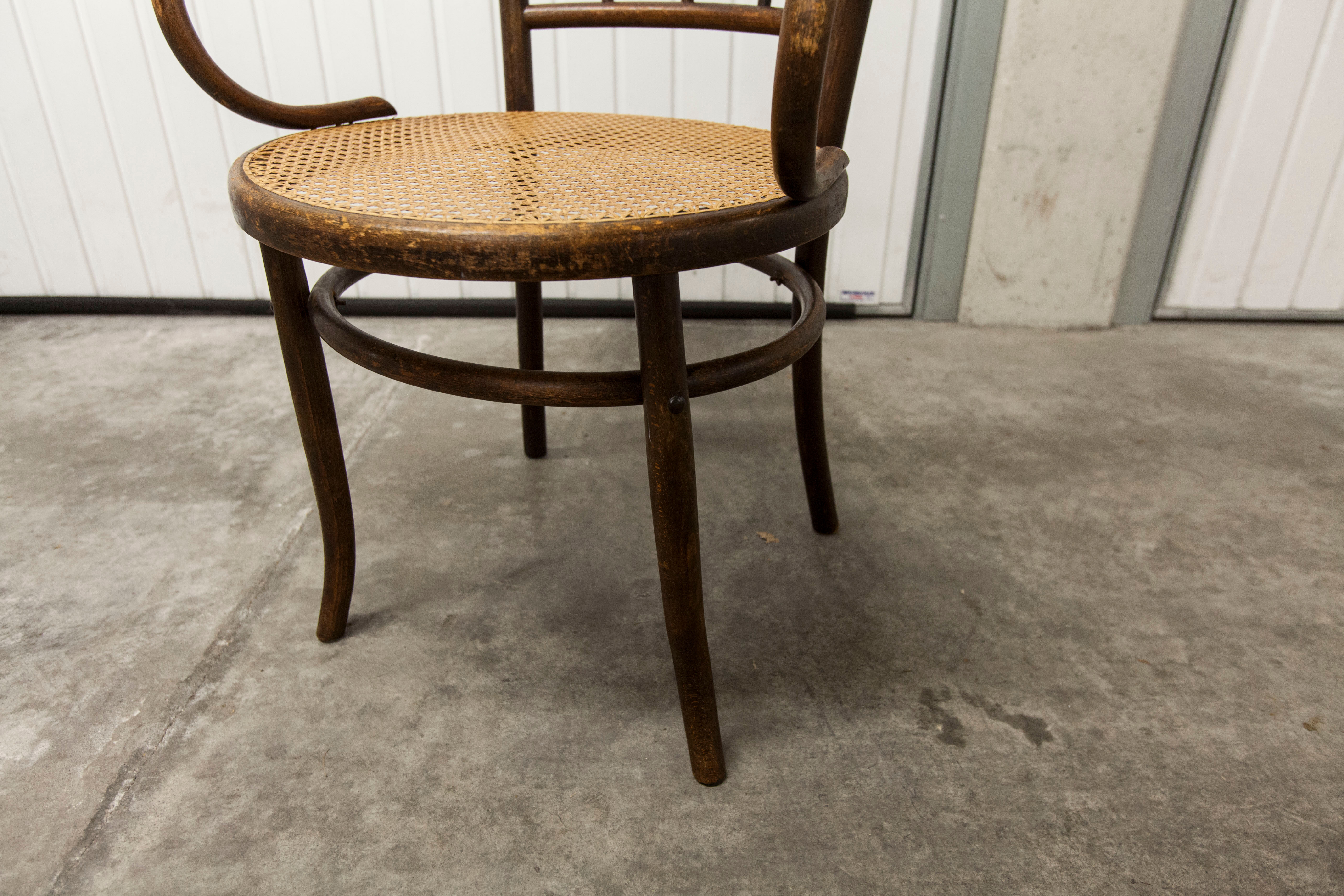 Fauteuil scandinave Fischel cannage 1900