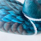 Decorative wooden duck