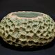 Aster Decorative Bowl - Napa Home & Garden