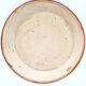 Savoy flower dish in glazed earth