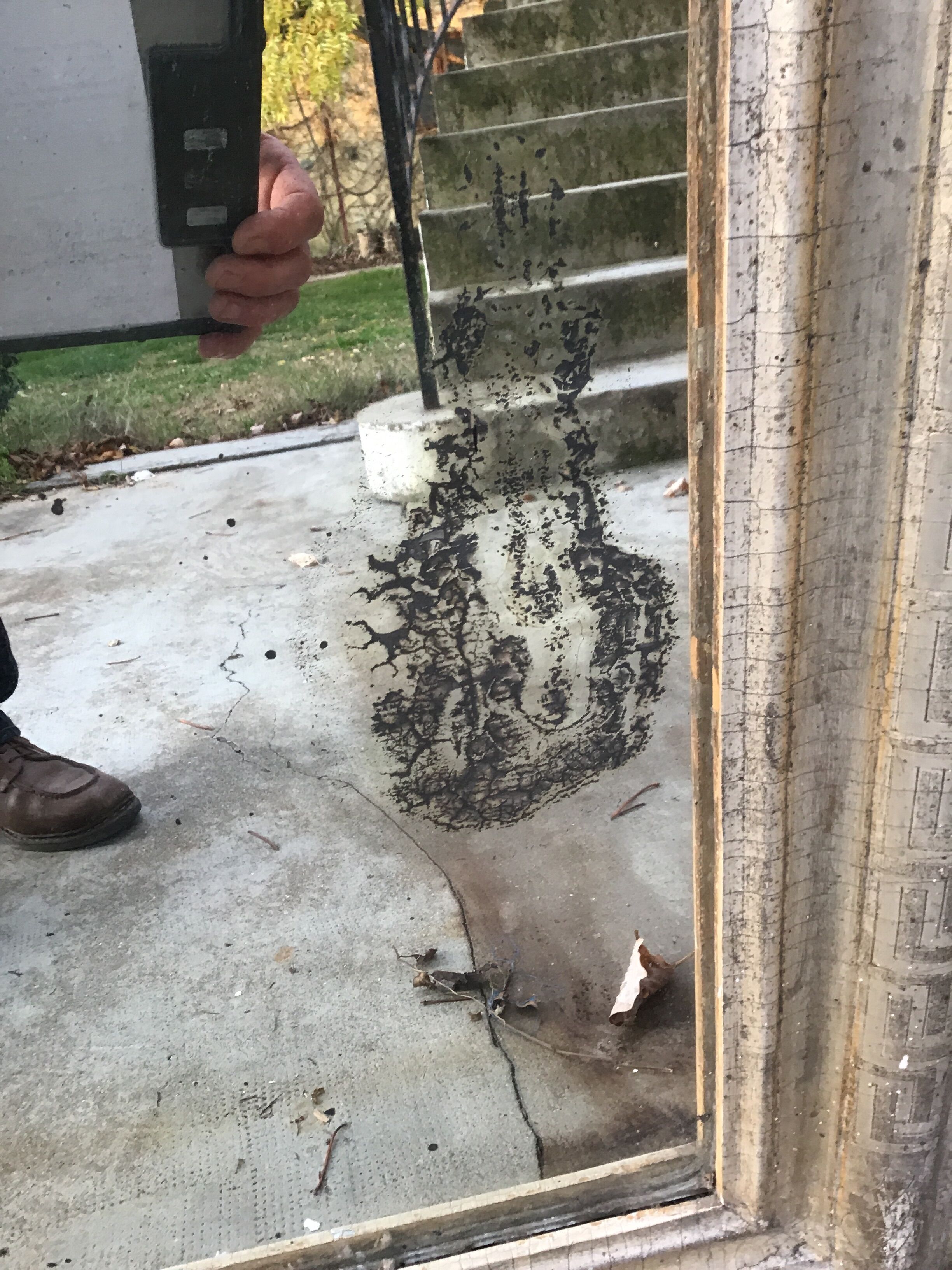 Louis Philippe mirror 142x86