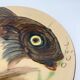 Wall plate "fish", Puigdemont, 1960s