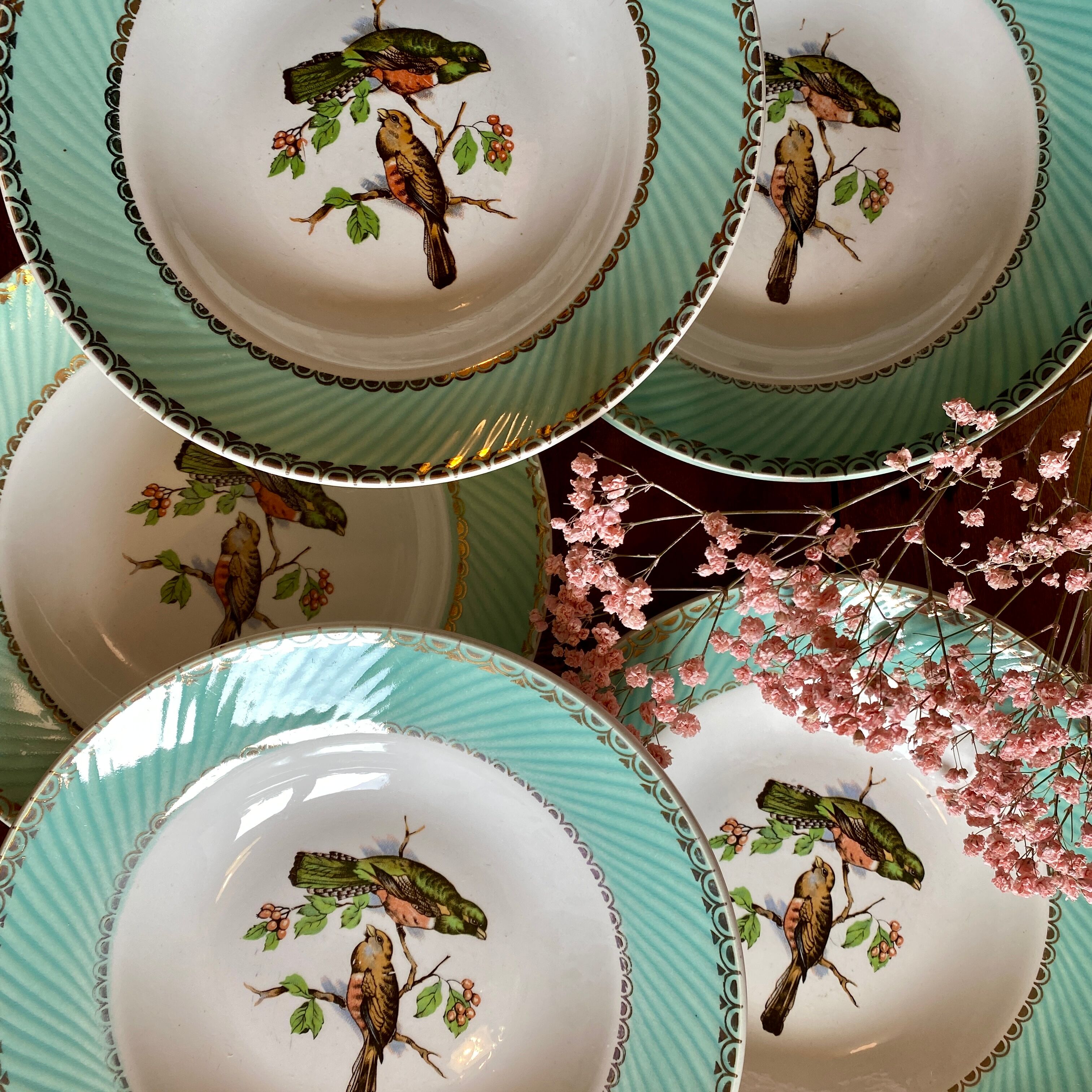 Set of 8 hollow plates vinatge with bird decorations