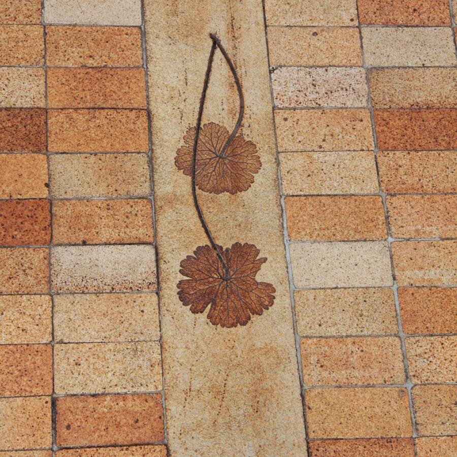 Coffee table by Roger Capron for Vallauris, 1960
