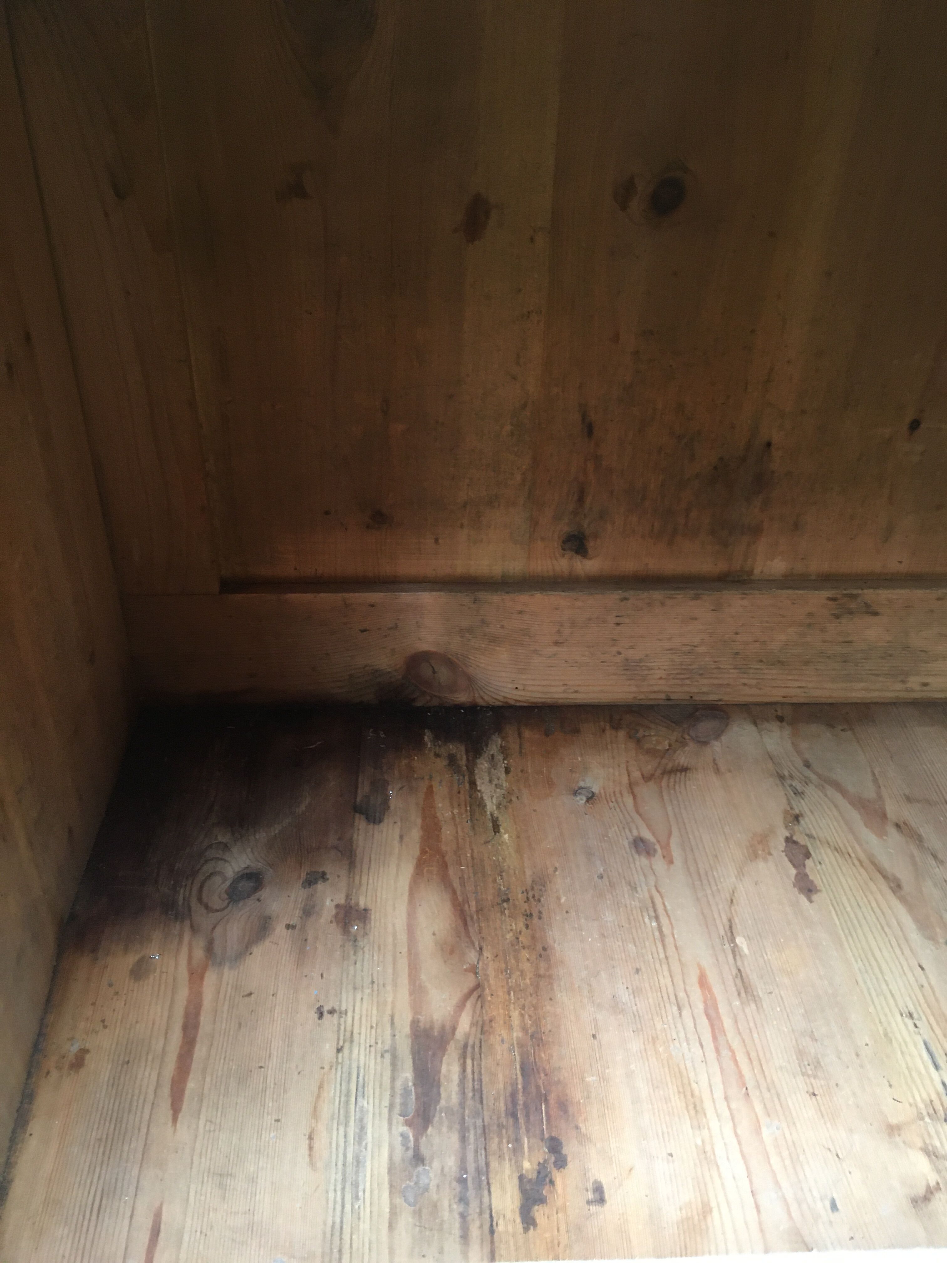 Wooden cabinet with interior doors