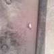 Chesterfield convertible sofa