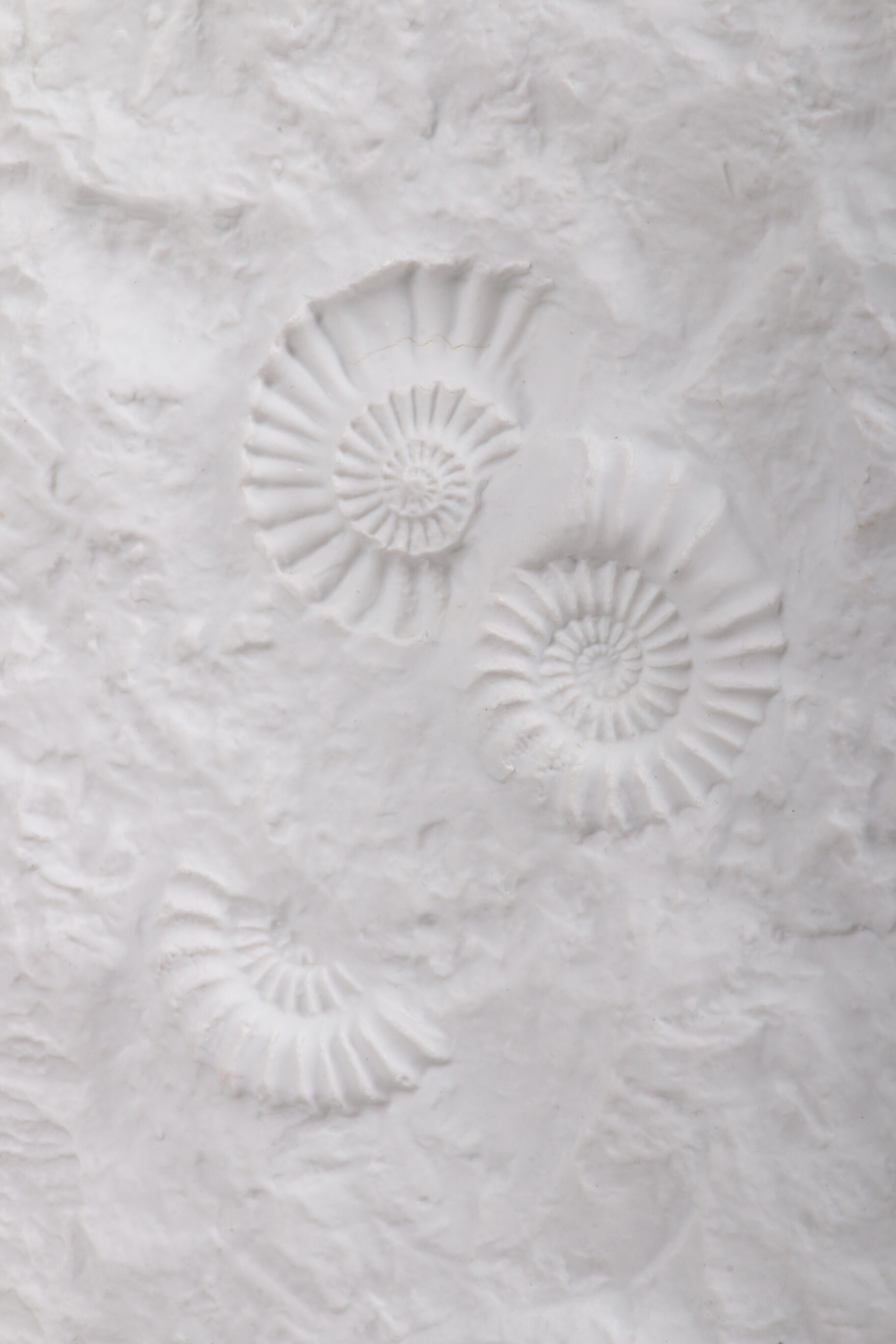 Large AK Kaiser porcelain vase with a white shell fossil pattern