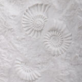 Large AK Kaiser porcelain vase with a white shell fossil pattern