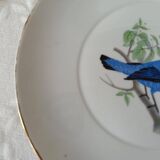 Assiette en porcelaine de Limoges Prestige Cotinga