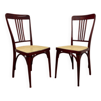 Secession dining chairs by Thonet