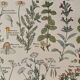 Illustrated plate on digestive plants - 1950