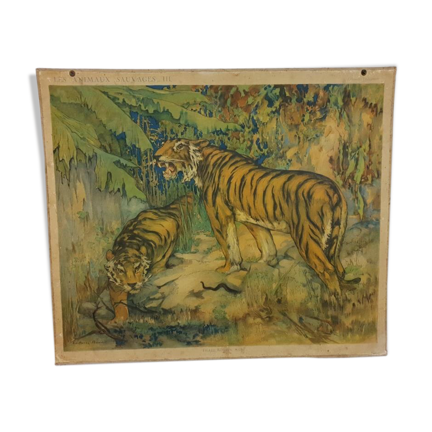 School Poster - The Royal Tigers