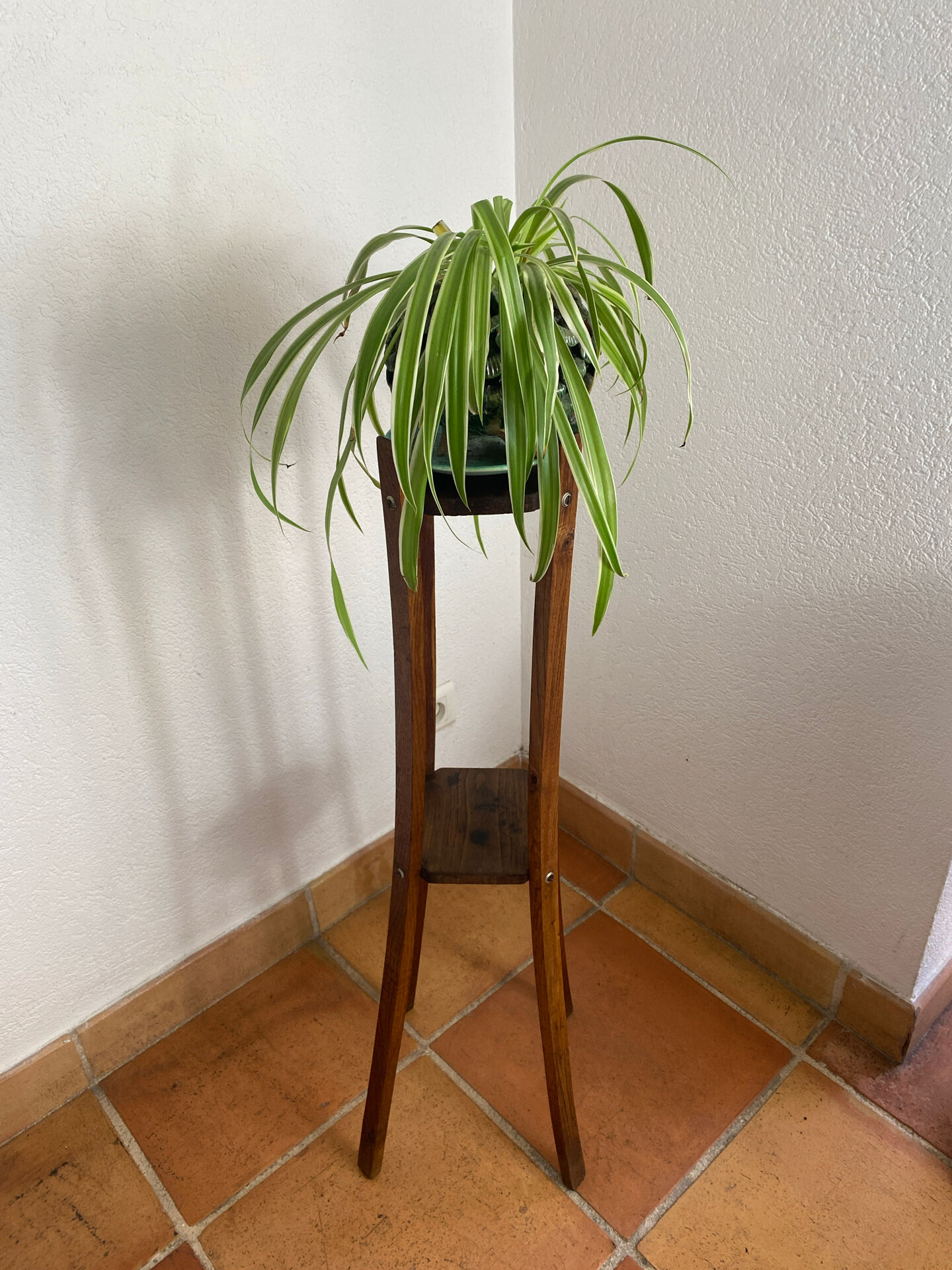Sellette  en bois, années 50