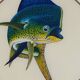 Pair of decorative panels signed by Djibril Fall Diène Exotic Fish