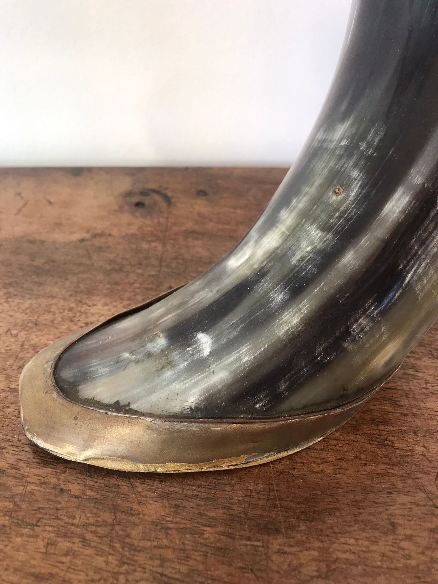 Polished beef horn on brass base