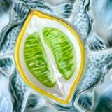 Oyster plates St Clémént