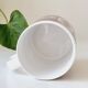 6 mug Staffordshire Potterie England
