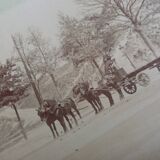 Photographie ancienne 1900 carriole cocher et chevaux