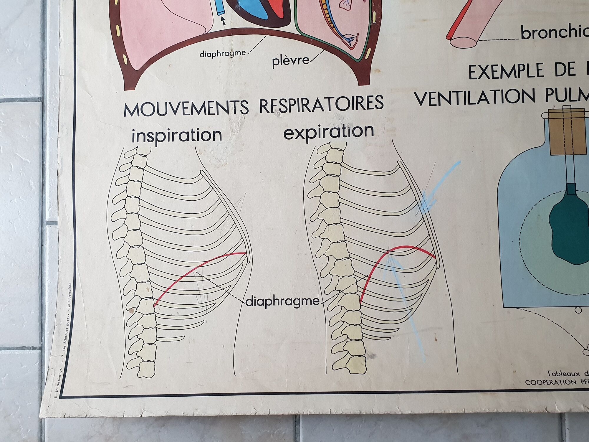 School poster Rossignol