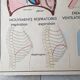 School poster Rossignol