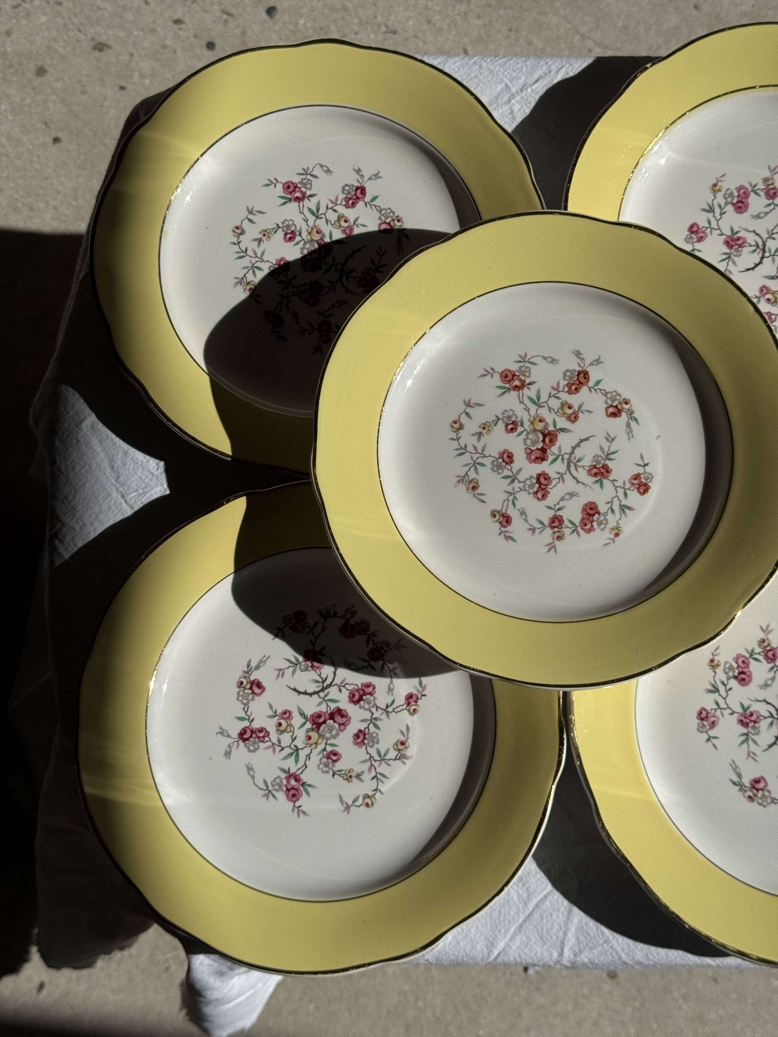Lot de 19 grandes assiettes plates vintage jaunes fleurs roses liseré doré