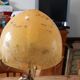 Art deco lamp golden metal and glass pate