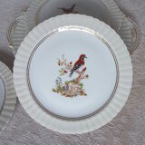 7 bird dessert plates