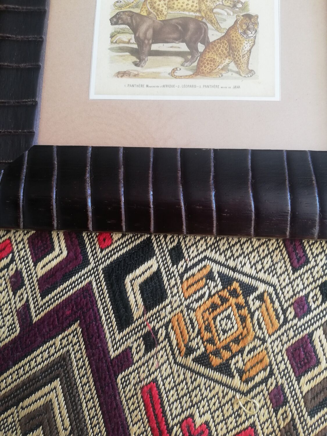 Reproductions vintage images epinal tigers, panthers under frame