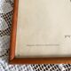 Framed zoological engraving toucan
