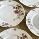 8 Haviland Limoges plates from the 19th century.