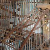 Handcrafted wooden cage