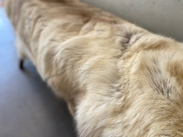 Sheepskin 140 x 106 cm