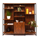 Wall unit Meuroplan by Pierre Guariche for Meurop, Belgium, 1966