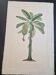 La Roche Laffitte (Born in 1943) - Watercolour drawing on silk - Banana tree
