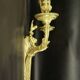Pair of large wall sconces with flowers in the Louis XVI style from the 19th century - gilded bronze.