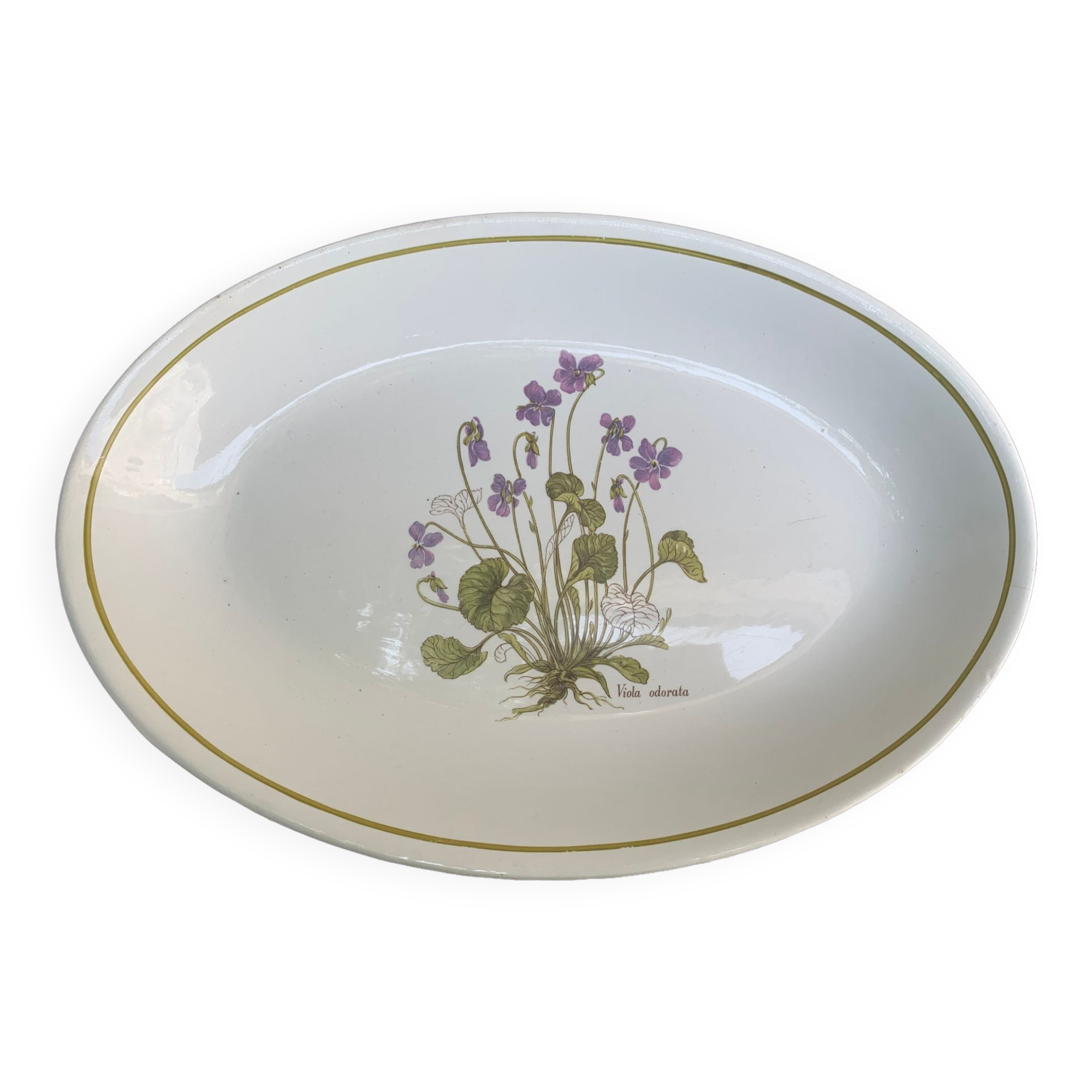 Serving dish in earthenware herbarium model, viola odorata mill of wolves orchies france vintage