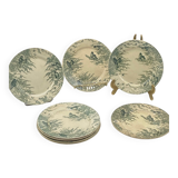 Service of old flat plates, Sarreguemines, birds,