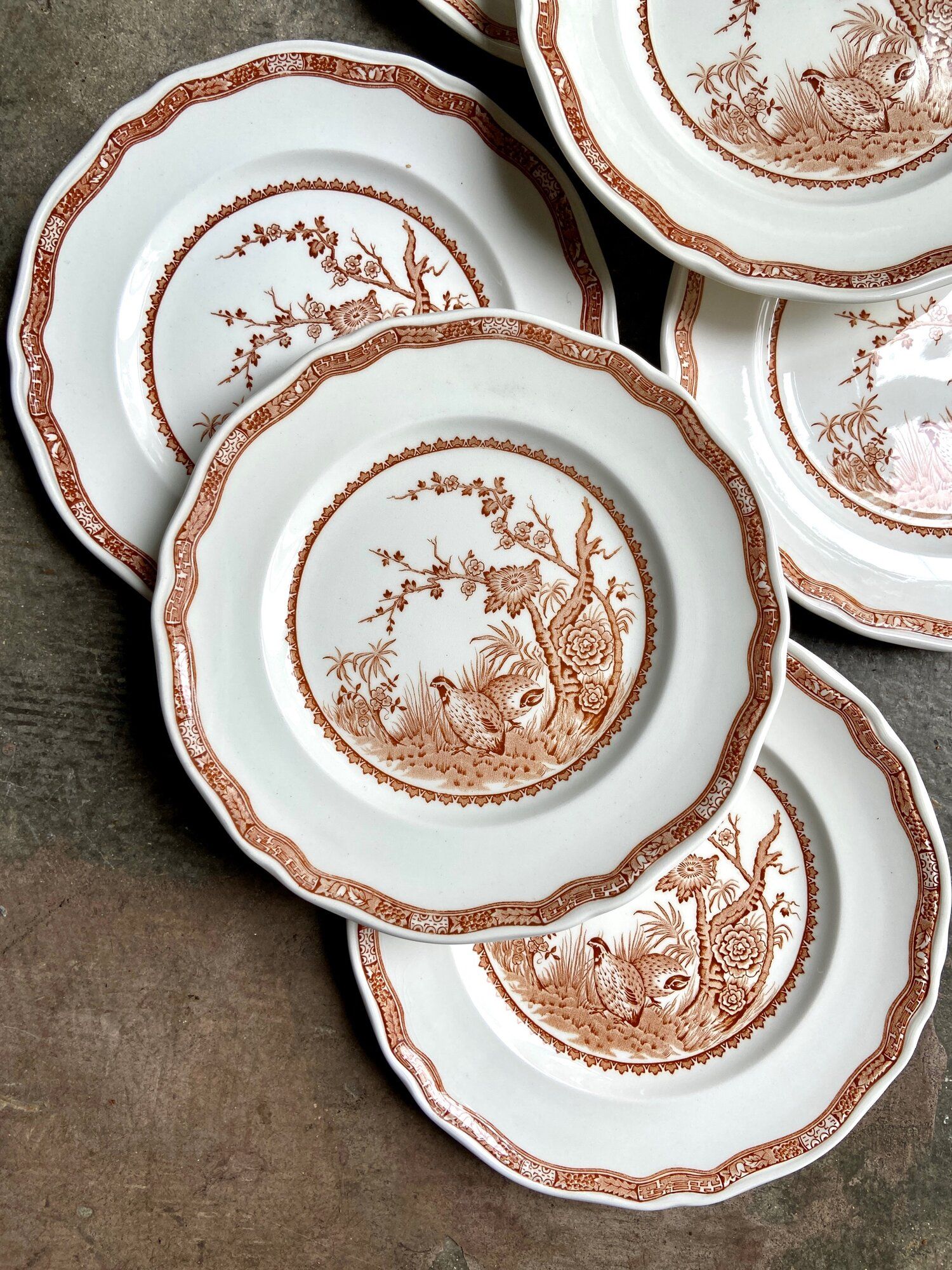6 flat plates in ochre English ironland, service "Furnivals Quail"