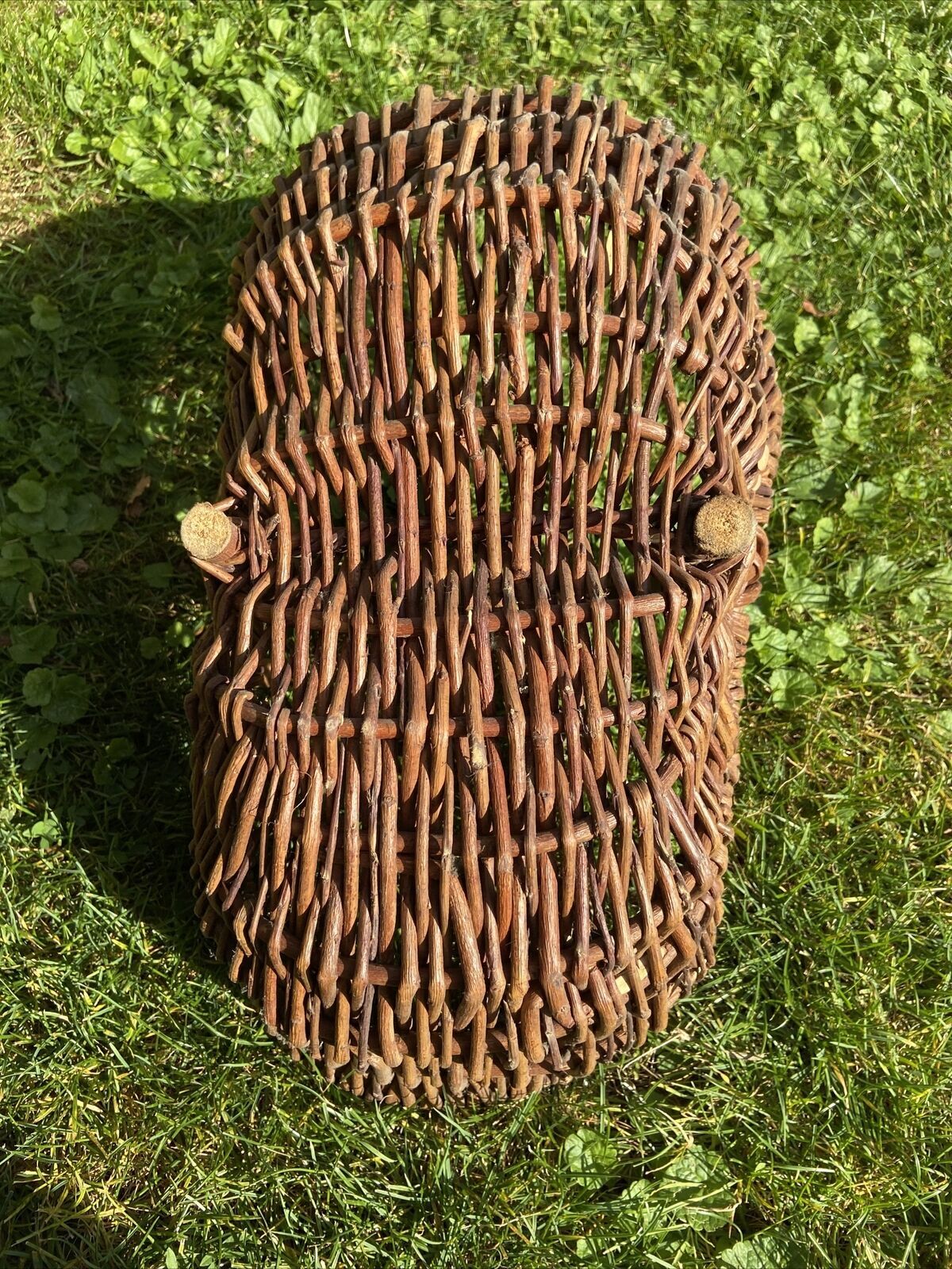 Basket with wicker handle picking vegetable garden mushrooms