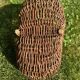 Basket with wicker handle picking vegetable garden mushrooms