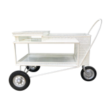 Mathieu Matégot rolling table