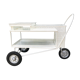 Mathieu Matégot rolling table