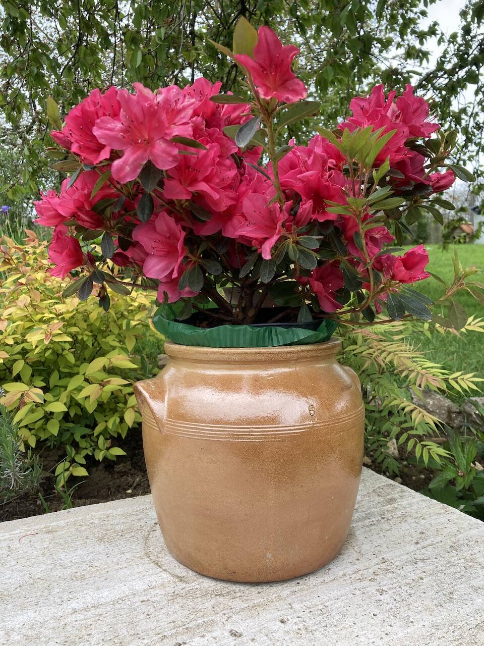 Brown stoneware jar pot